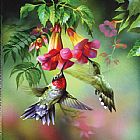 hummingbirds by Unknown Artist